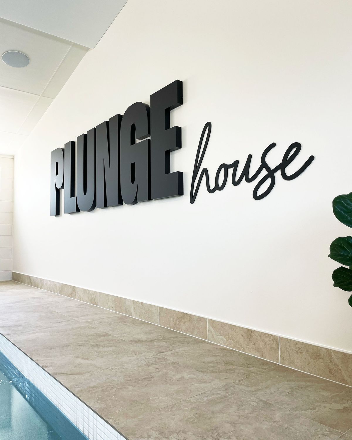 Plunge House Identity